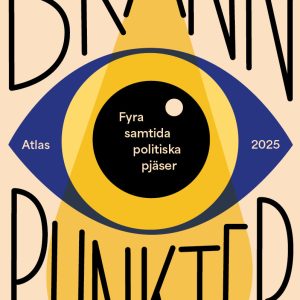 Brännpunkter: fyra samtida, politiska pjäser